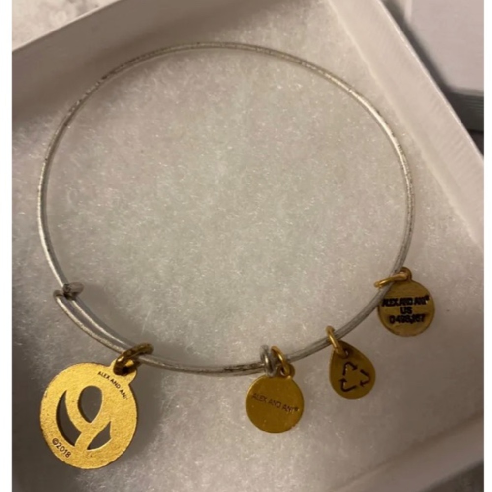 New Alex & Ani initial P silver/gold tone charm bracelet,gift box,some discolor. - Picture 8 of 10